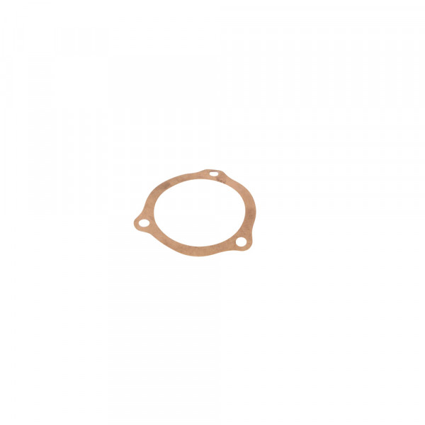 Ölpumpendichtung L.F.